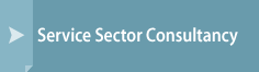 Service Sector Consultancy